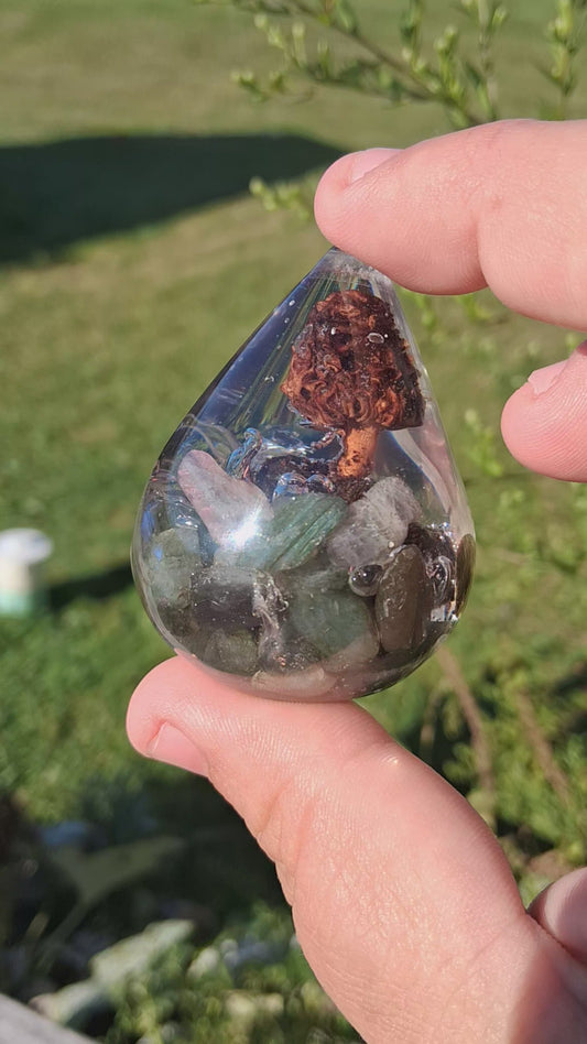 Lost & Found - Morel & Labradorite ✨🌈✨