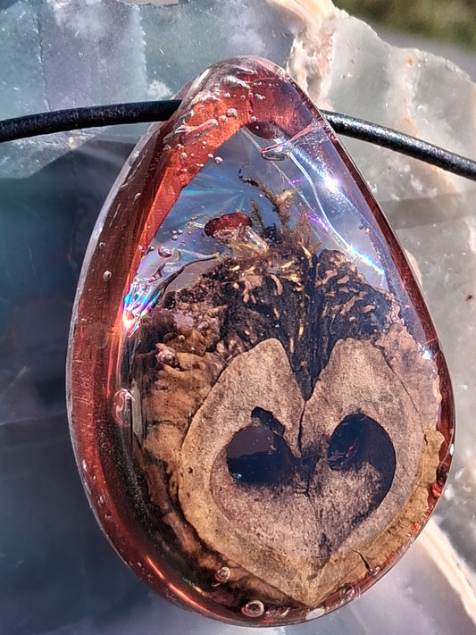 Owl 🦉 Spirit - Walnut, moss, mushie, rainbows ✨