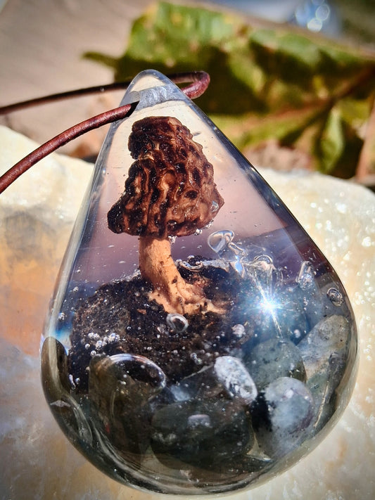 Lost & Found - Morel & Labradorite ✨🌈✨